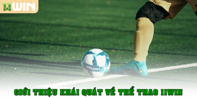 Thể thao 11win 1 Giới thiệu khái quát về Thể thao 11win