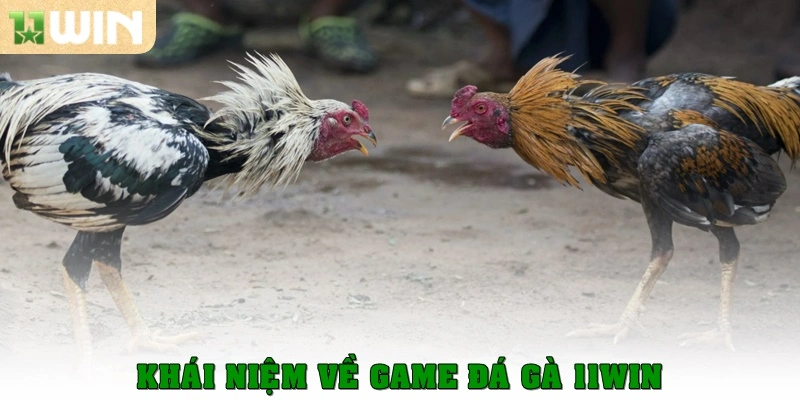 Đá Gà 11win 1 Khái niệm về game đá gà 11win