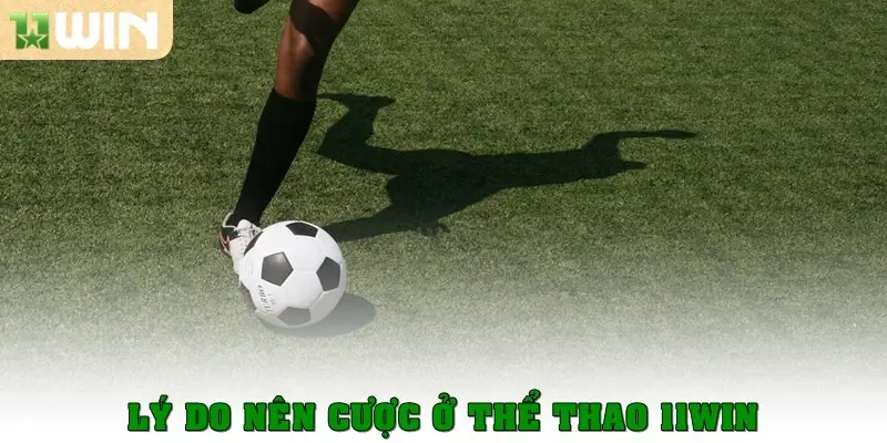 Thể thao 11win 2 Lý do nên cược ở Thể thao 11win
